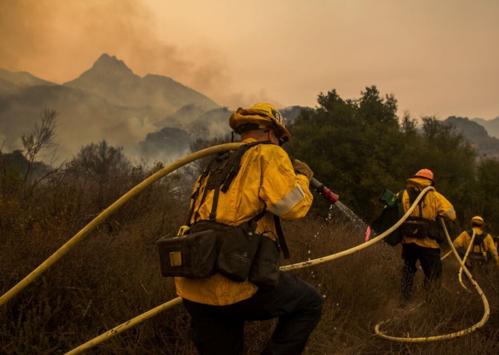 #38. Forest fire fighting and prevention supervisors